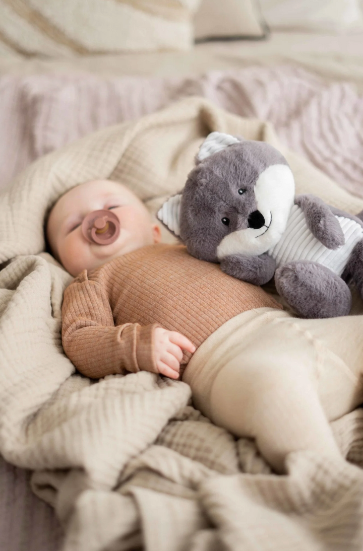 Robin  - Heartbeat comforter