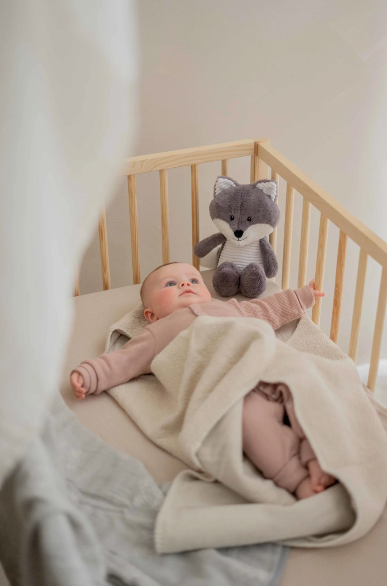 Robin  - Heartbeat comforter