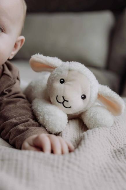 Rosie - Heartbeat Comforter