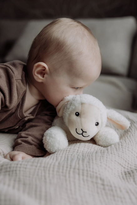 Rosie - Heartbeat Comforter