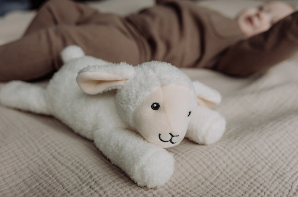 Rosie - Heartbeat Comforter