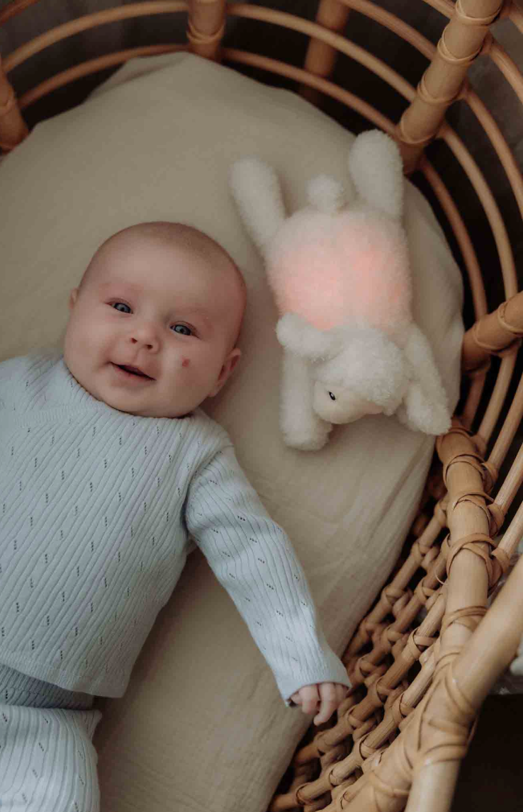 Rosie - Plush night light