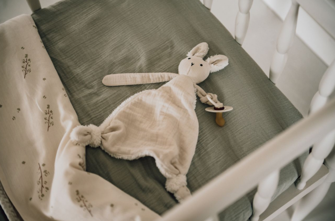 Sleep Tuttle (Sarılma Bezi)