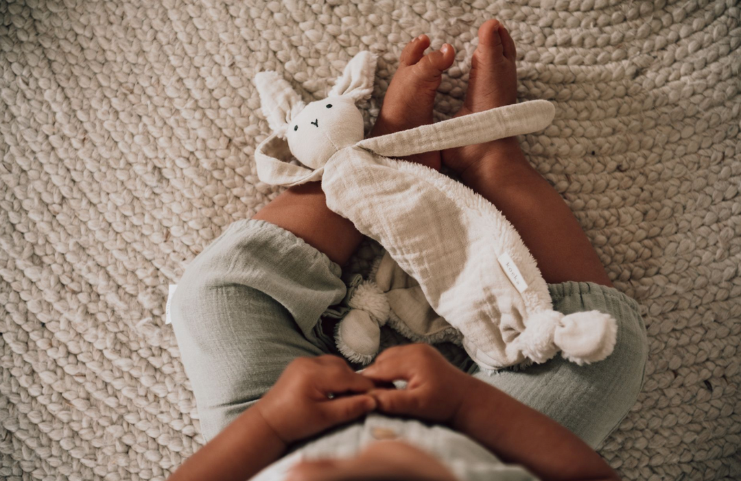 Sleep Tuttle (Sarılma Bezi)