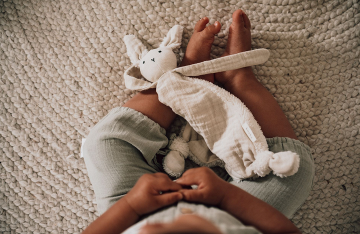 Sleep Tuttle (Sarılma Bezi)