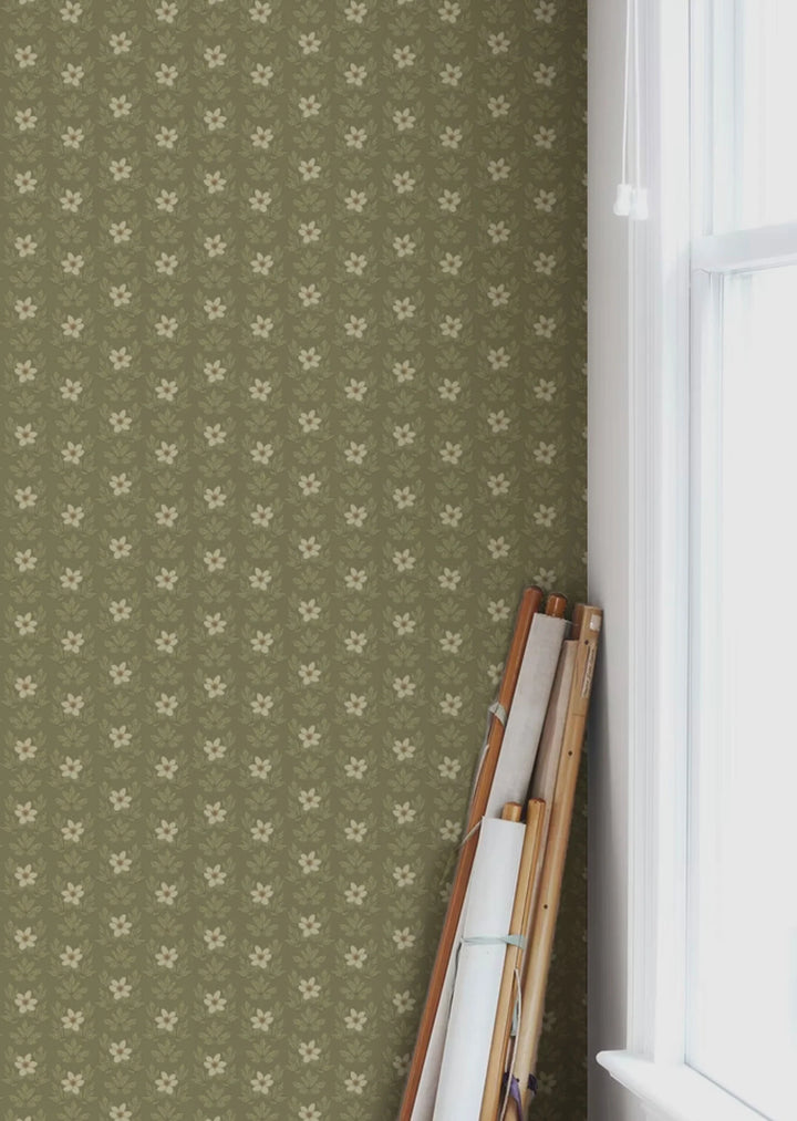 Summer Gray Wood Anemone Wallpaper  - Hola BB